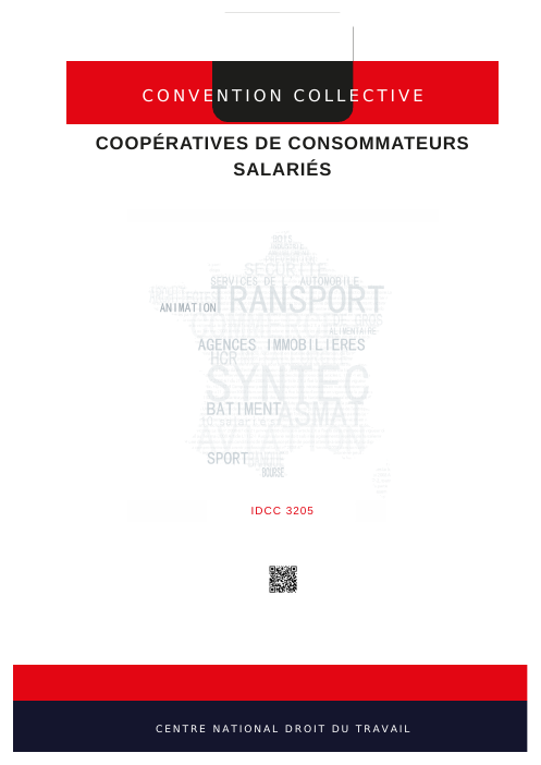Couverture IDCC3205